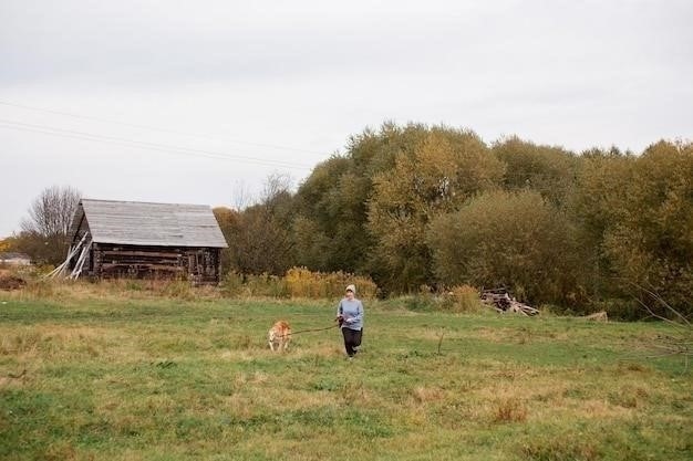 Причины отъезда Евгения Онегина в деревню