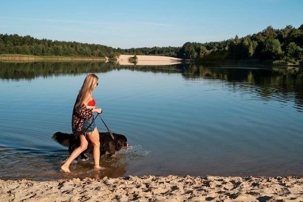 Почему Ладожское озеро не море