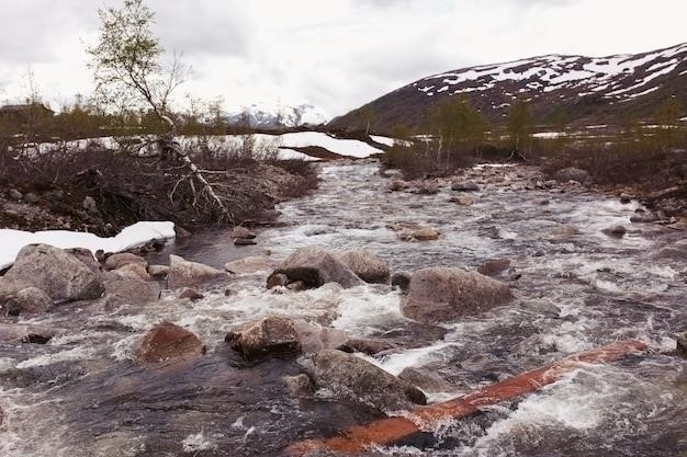 Продажа Аляски: история, причины и последствия