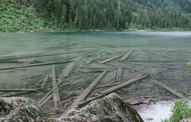 Притоки Енисея: главные источники величия сибирской реки