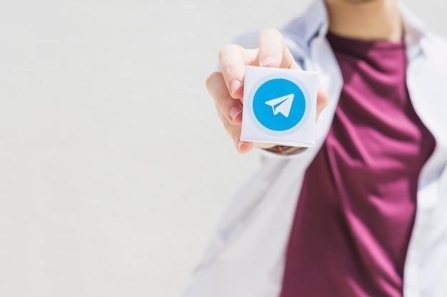 Возможные причины лагов кружочков в Telegram