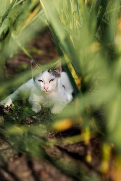 Почему кошки охотятся на мышей