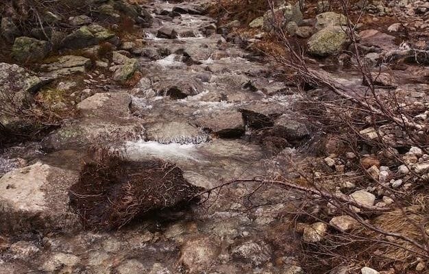 Причины появления ржавой воды из скважины