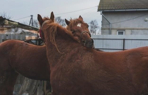 Почему плачут лошади