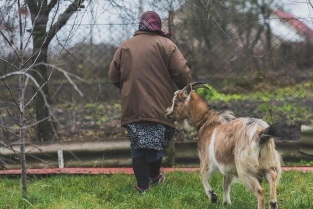 Причины большого количества бездомных собак в Грузии