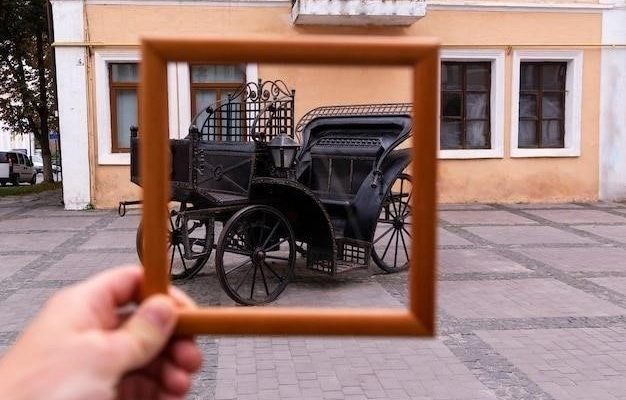 Трясогузка стучится в окно: народные приметы и их толкование