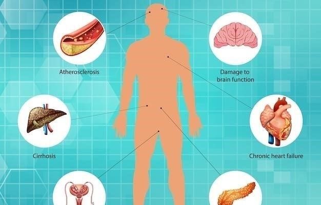 Влияние алкоголя на организм человека