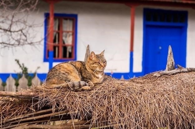 Почему котята мурчат как трактор