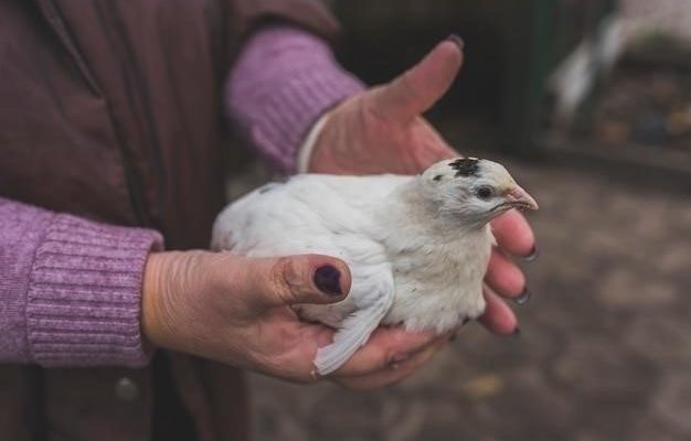 Причины грызения клетки декоративным кроликом