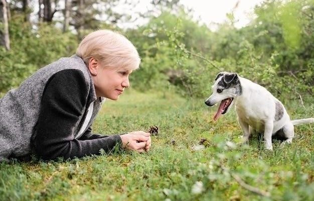 Причины отсутствия линьки у собаки весной