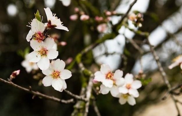 Почему не цветет боярышник дерево