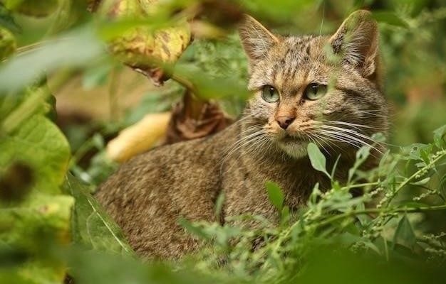 Почему кошки едят траву