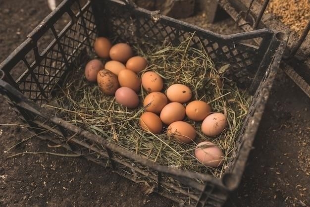 Основные Причины Снижения Яйценоскости у Кур: Факторы Влияния и Рекомендации