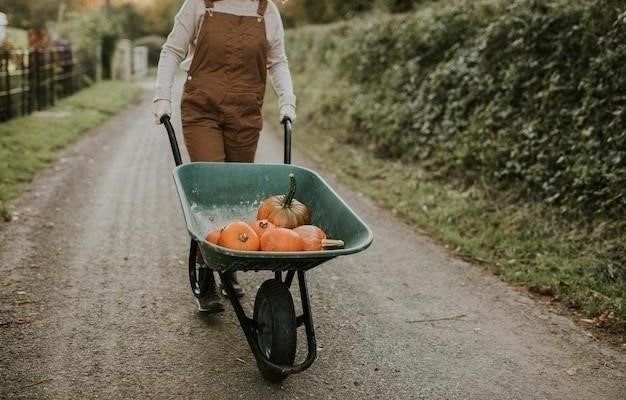 Коляска колбасы: Происхождение и значение необычного фразеологизма