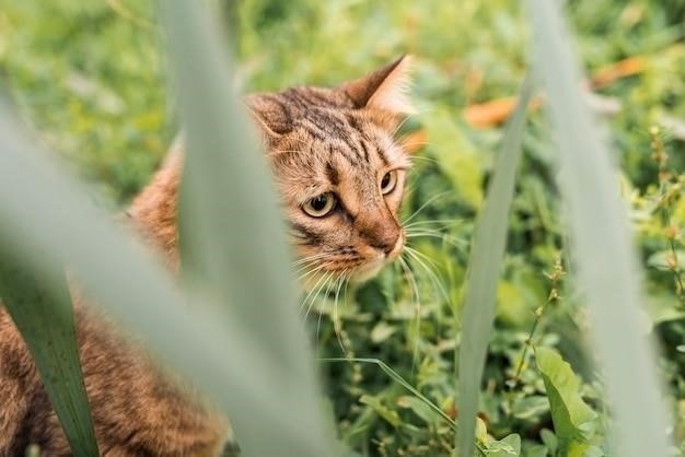 Почему кошки едят траву