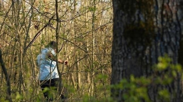 Тополя в Москве: от массовых посадок к поиску альтернативы