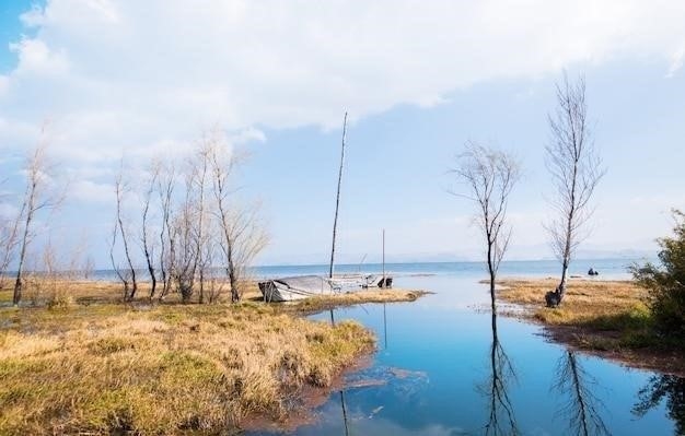 Почему Ладожское озеро не море