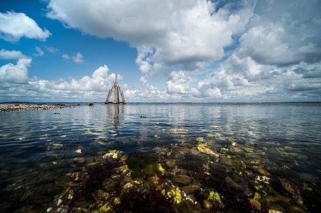 Череповец - порт пяти морей: история, значение, перспективы