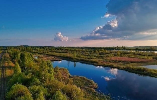 Становление Москвы как центра русских земель