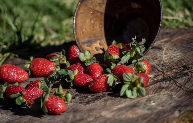 Причины пропажи клубники на огороде